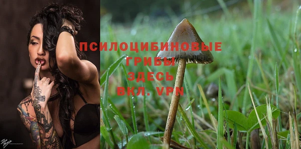 молекула духа Баксан